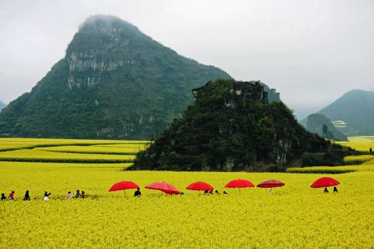 Nhung noi ly tuong de ngam hoa khap the gioi anh 6