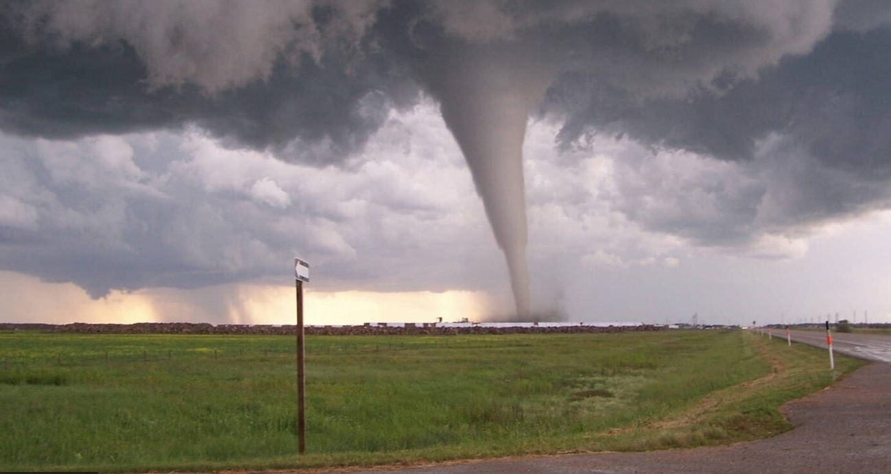 anh dep ve nhung con bao anh 12