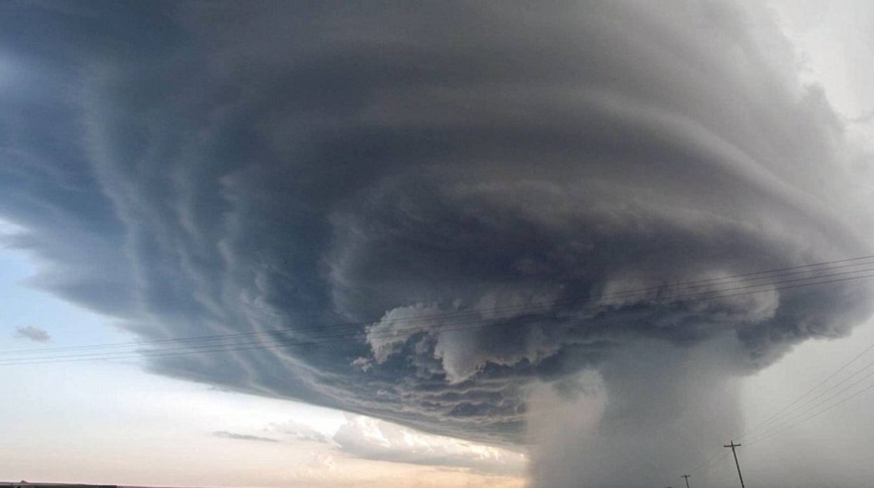 anh dep ve nhung con bao anh 5