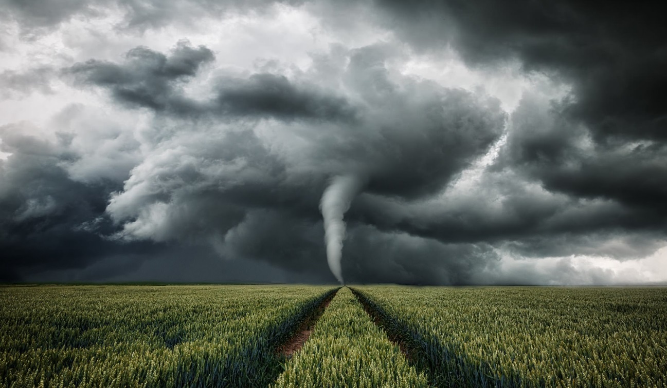 anh dep ve nhung con bao anh 8