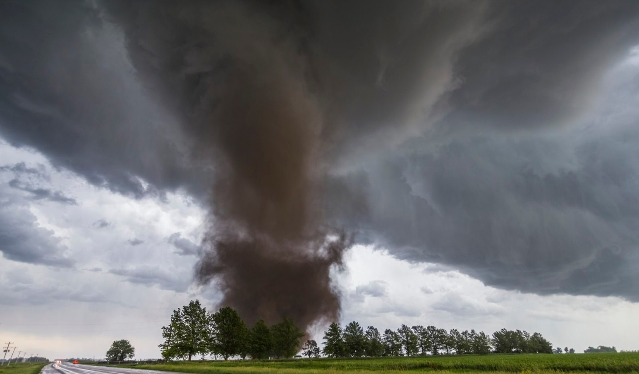 anh dep ve nhung con bao anh 9