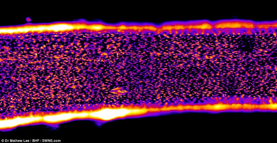 anh dep ve trai tim anh 2