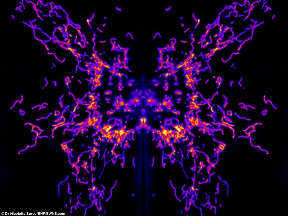 anh dep ve trai tim anh 8