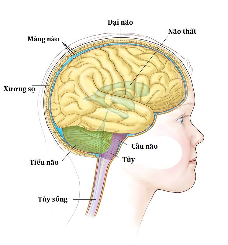 Bệnh nhi gặp nguy hiểm tính mạng vì bác sĩ không xác định được tình trạng bệnh ảnh 2 Benh nhi gap nguy hiem tinh mang vi bac si khong xac dinh duoc tinh trang benh anh 2