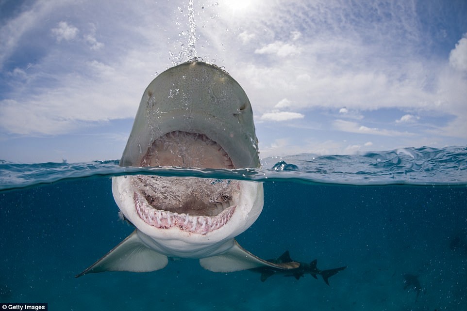 ve dep ky ao cua hai the gioi anh 1