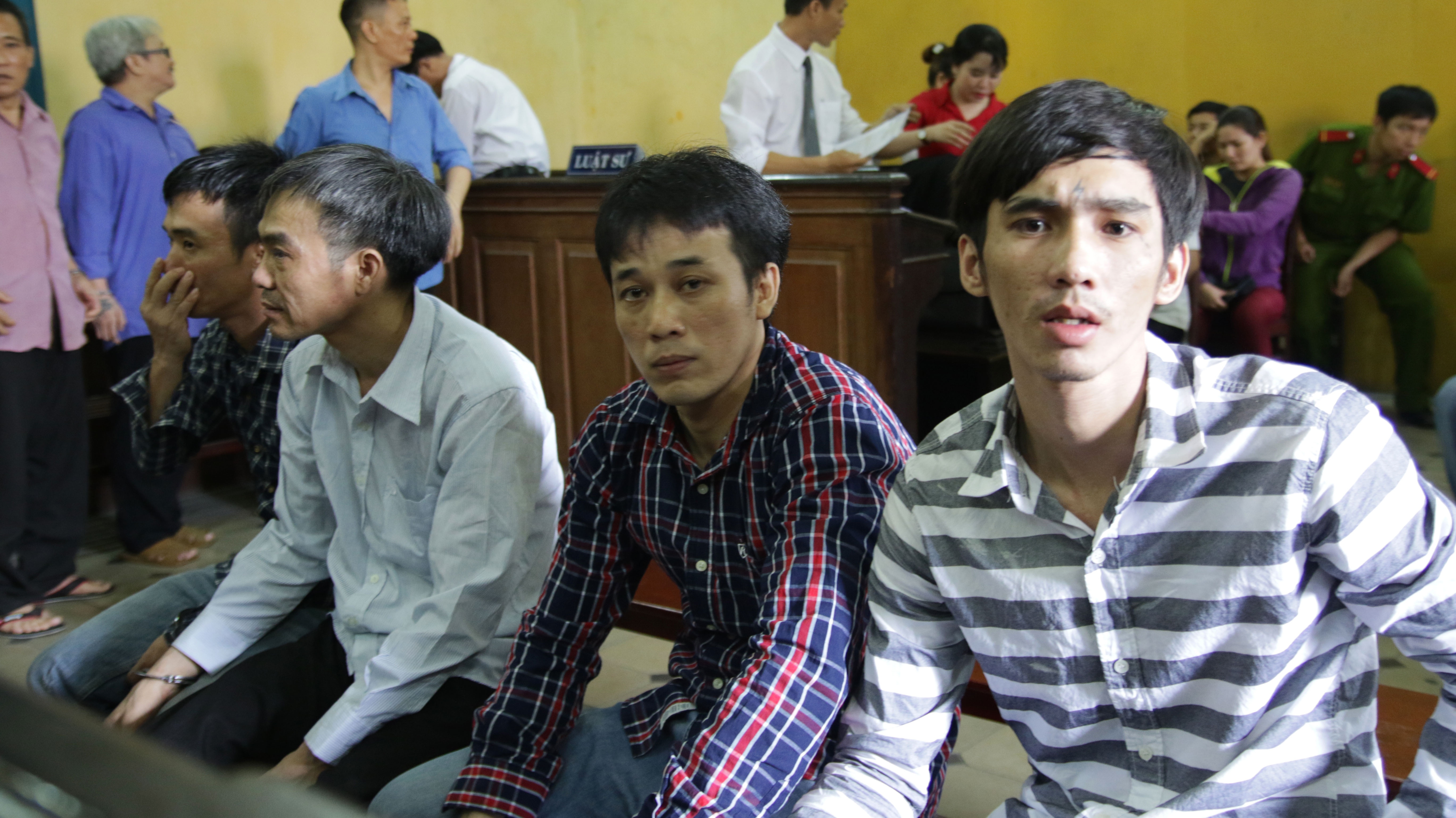 băng nhóm trộm trâu ảnh 1 bang nhom trom trau anh 1