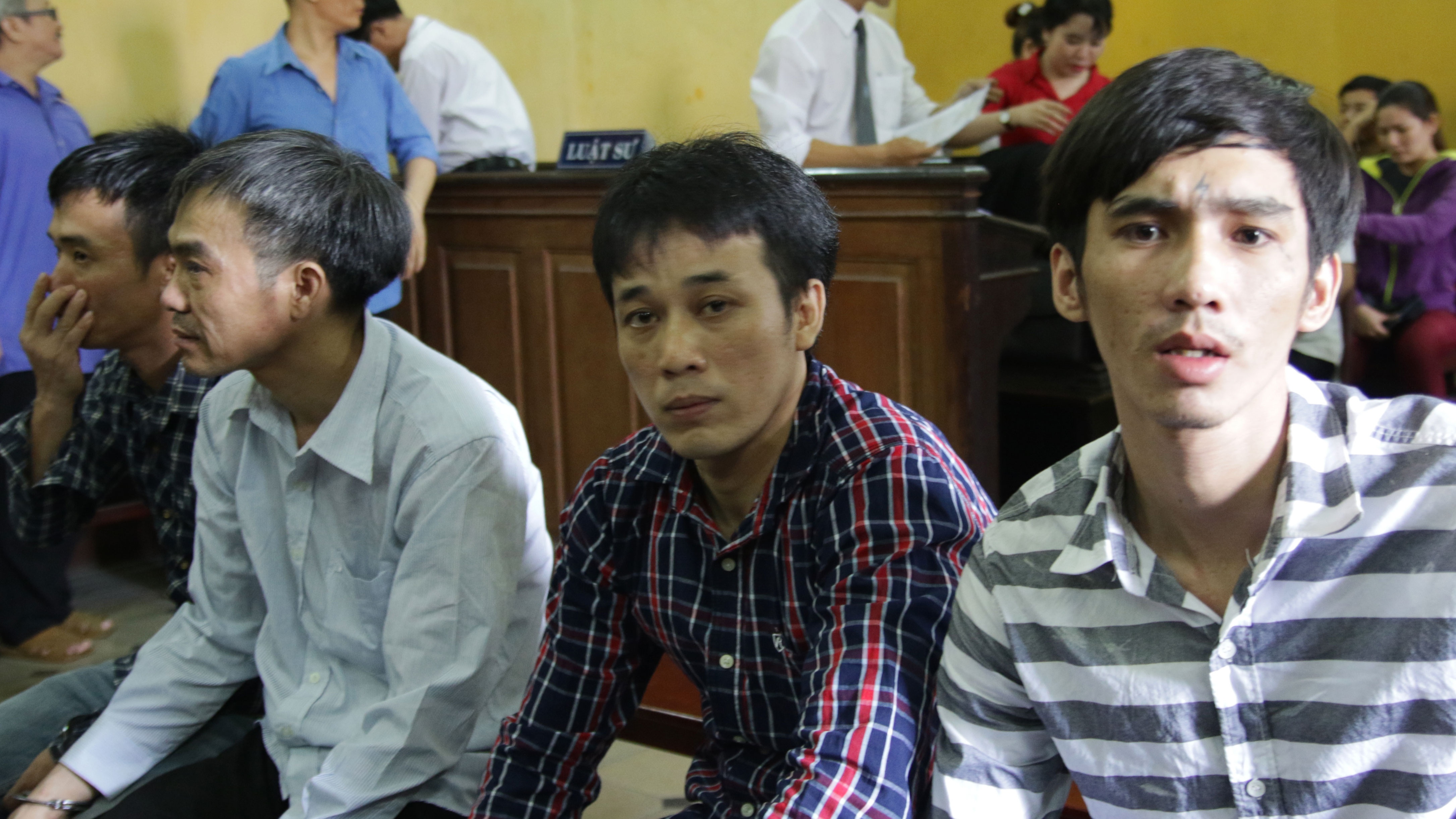 Bang thuc hien 21 vu trom trau, bo khong duoc giam an hinh anh