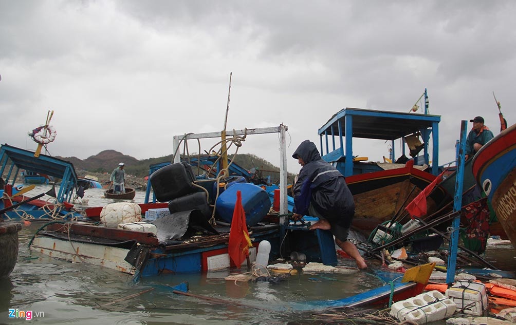 sinh vien vung bao anh 3