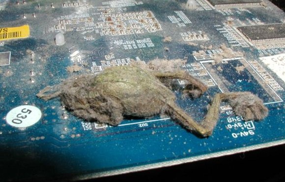 Ảnh công nghệ quái dị ảnh 3 Anh cong nghe quai di anh 3