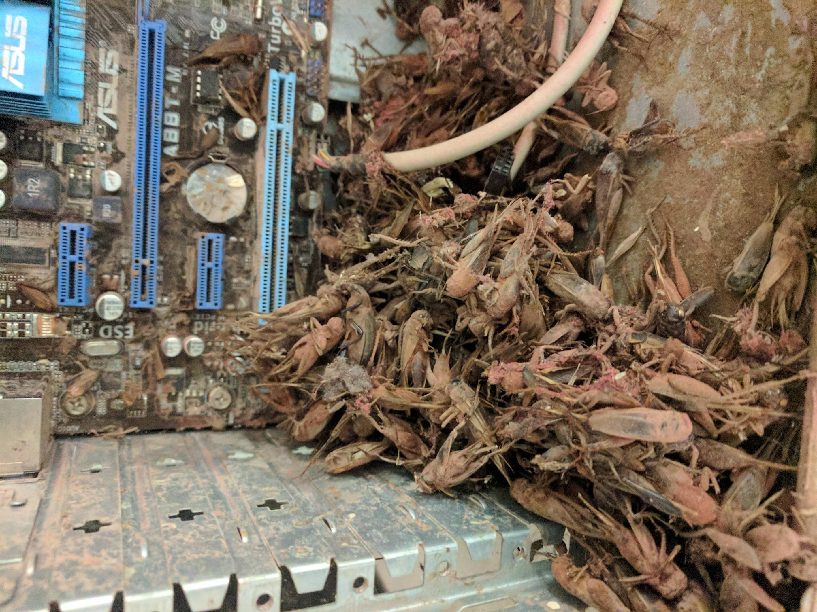 Nhung buc hinh cong nghe khien nguoi xem phai rung minh hinh anh