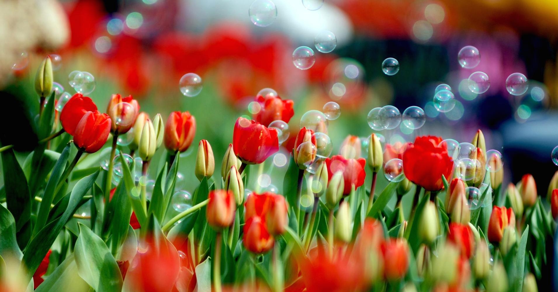 Chuyện gì xảy ra khi bong bóng Bitcoin vỡ ảnh 3 Chuyen gi xay ra khi bong bong Bitcoin vo anh 3