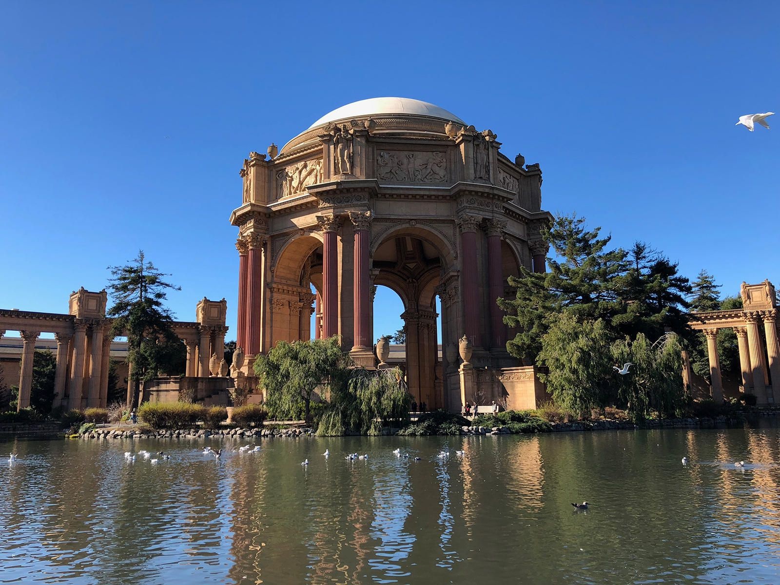 Camera tren iPhone X va iPhone 2G anh 4