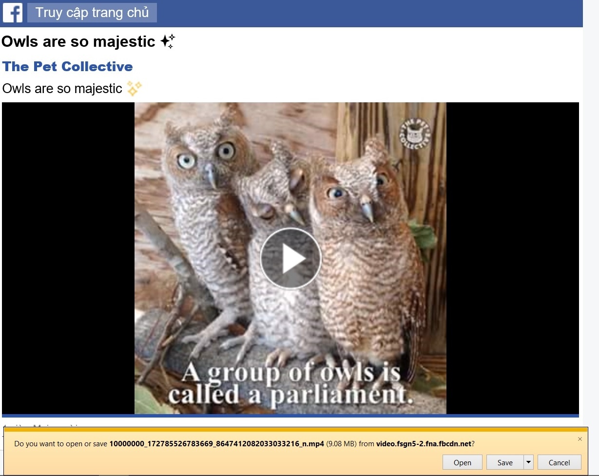 Tai video Facebook khong can phan mem anh 3