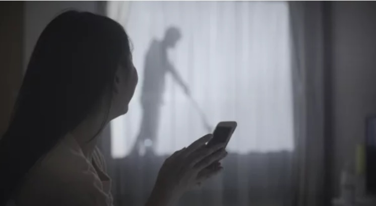 'Ban trai ao' giup nu don than song an tam tai Nhat Ban hinh anh