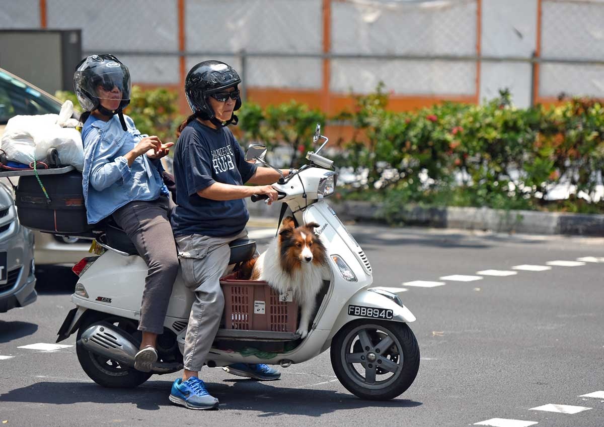 vứt xe máy ở Singapore  ảnh 1 vut xe may o Singapore anh 1