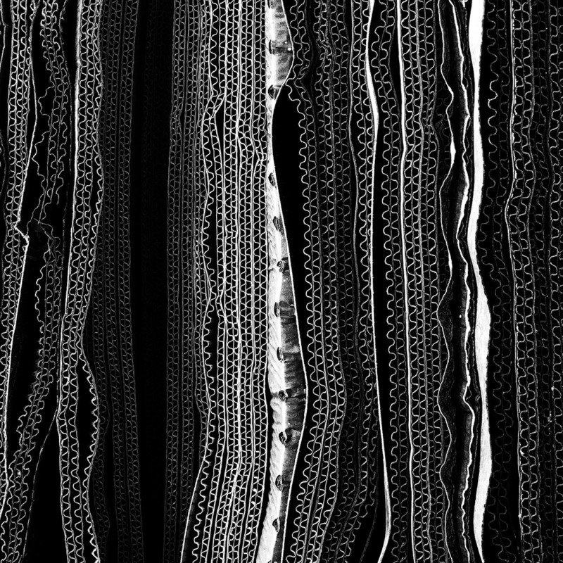 Hinh dep chup bang iPhone 2018 anh 5