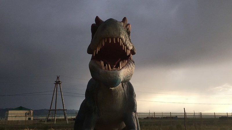 Hinh dep chup bang iPhone 2018 anh 16