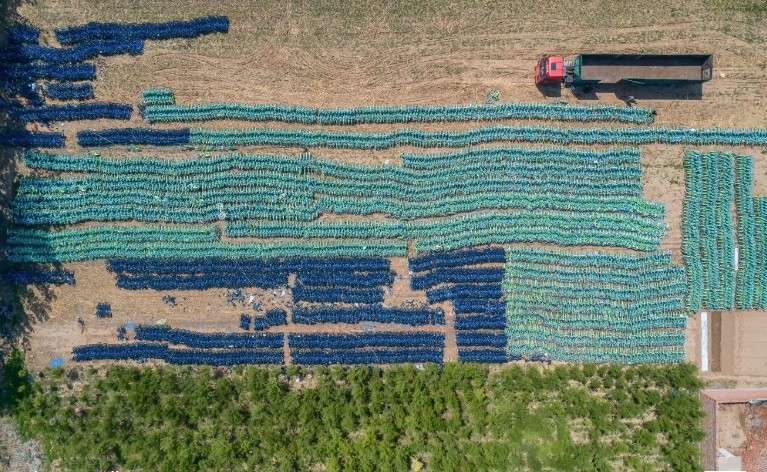 Xe dap chia se vut dong tai Trung Quoc anh 3