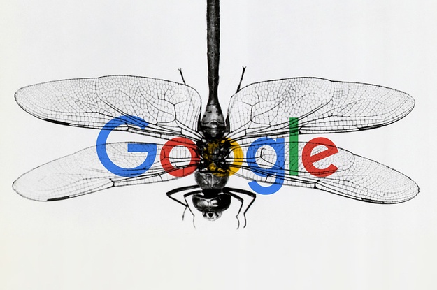 Nhan vien Google nghi viec  vi Dragonfly anh 2
