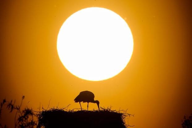 Bi an ve mat troi va vanh nan hoa anh 1