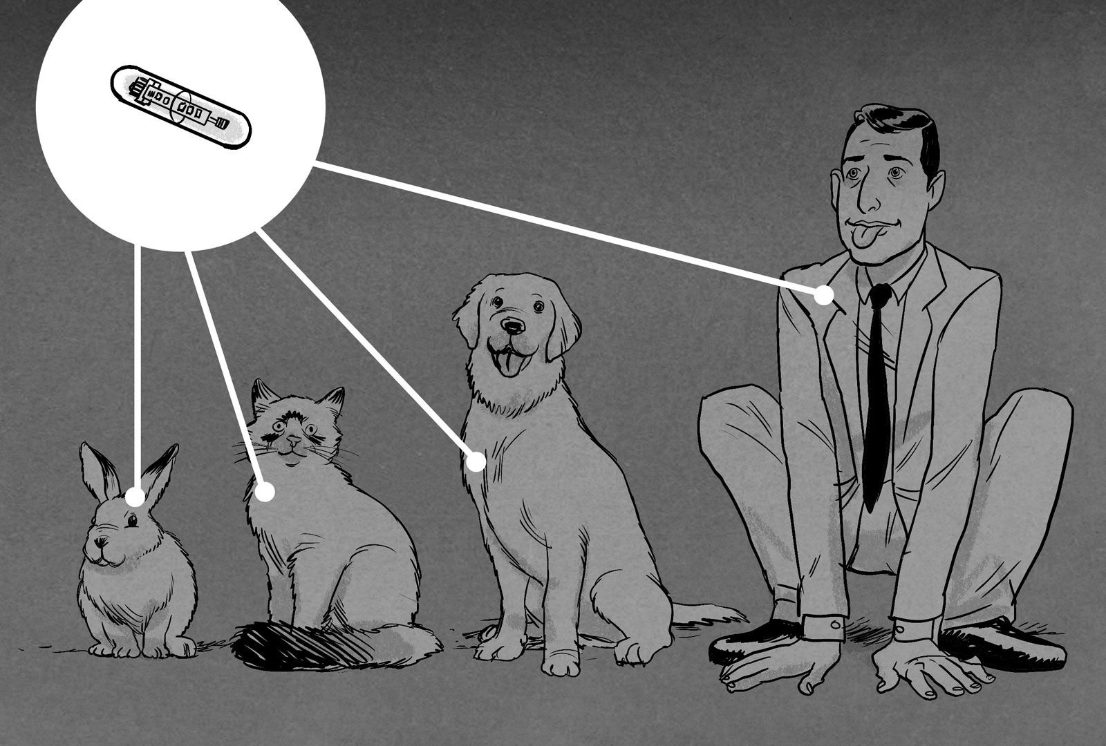 Cay chip vao nhan vien anh 2