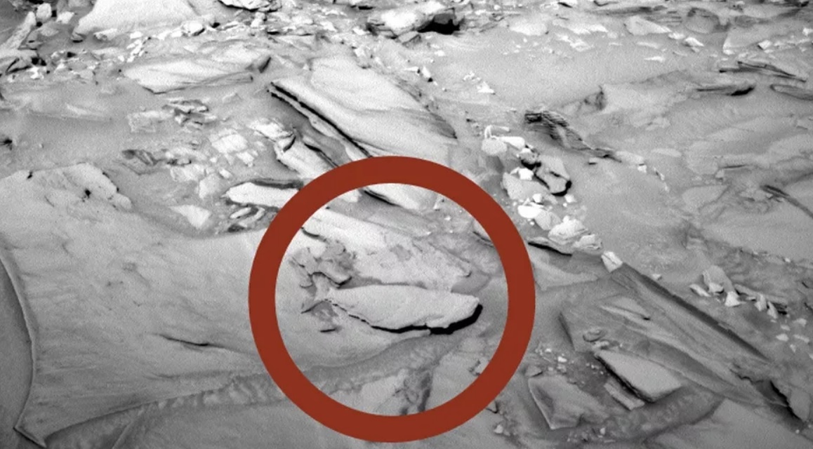 Vat the la tren sao Hoa anh 2