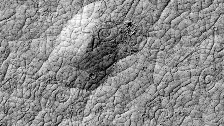 Vat the la tren sao Hoa anh 7