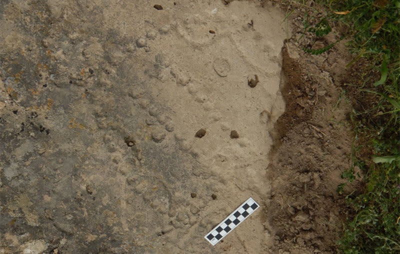 Phat hien boardgame 4.000 nam tuoi cua nguoi co dai hinh anh