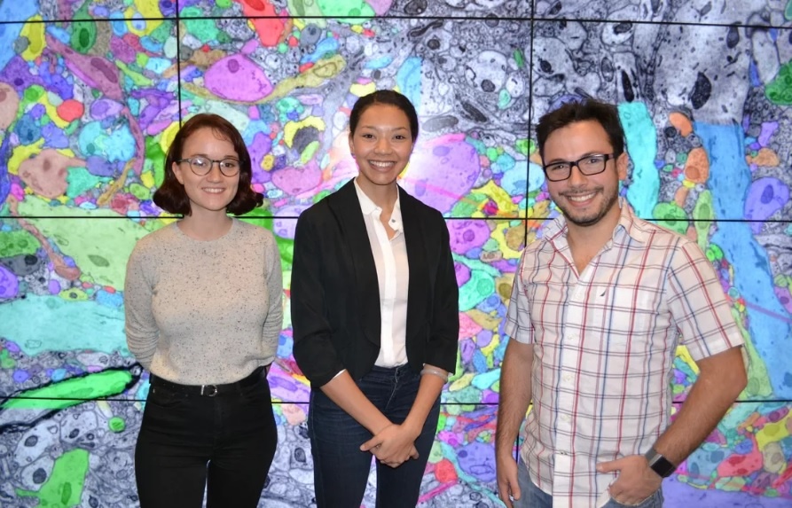 Lap ban do nao chuot bang sieu may tinh anh 2