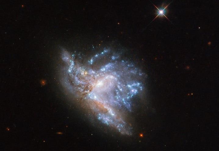 Hinh anh ky dieu khi 2 thien ha hop nhat thanh sieu thien ha hinh anh