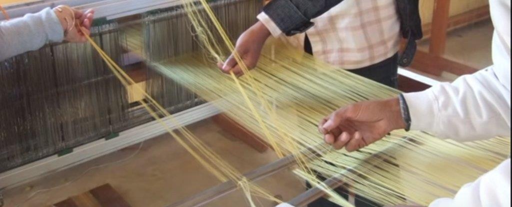 Bien doi gen cua vi khuan de tao to nhen sieu ben anh 1