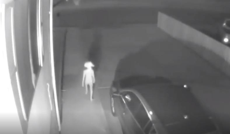 Sinh vat ky la giong trong phim Harry Potter gay xon xao mang xa hoi hinh anh