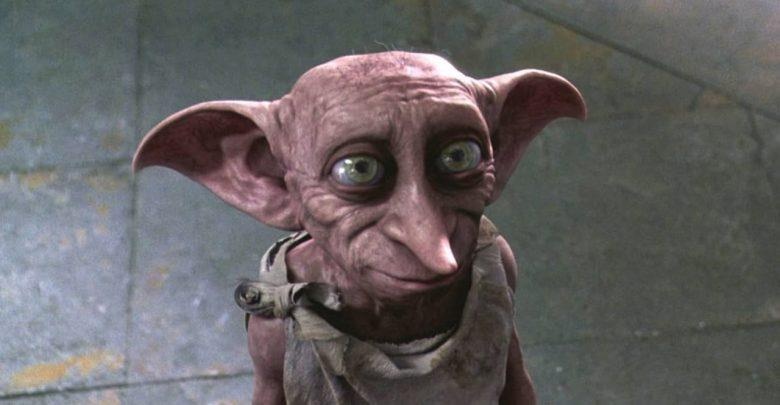 Sinh vật kỳ quái giống gia tinh Dobby ảnh 1 Sinh vat ky quai giong gia tinh Dobby anh 1