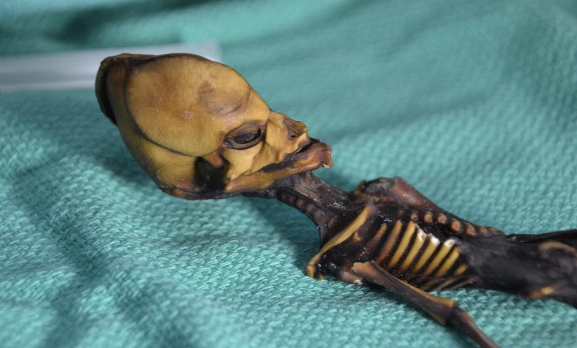 Bi an bo xuong 'nguoi ngoai hanh tinh' da co loi giai hinh anh