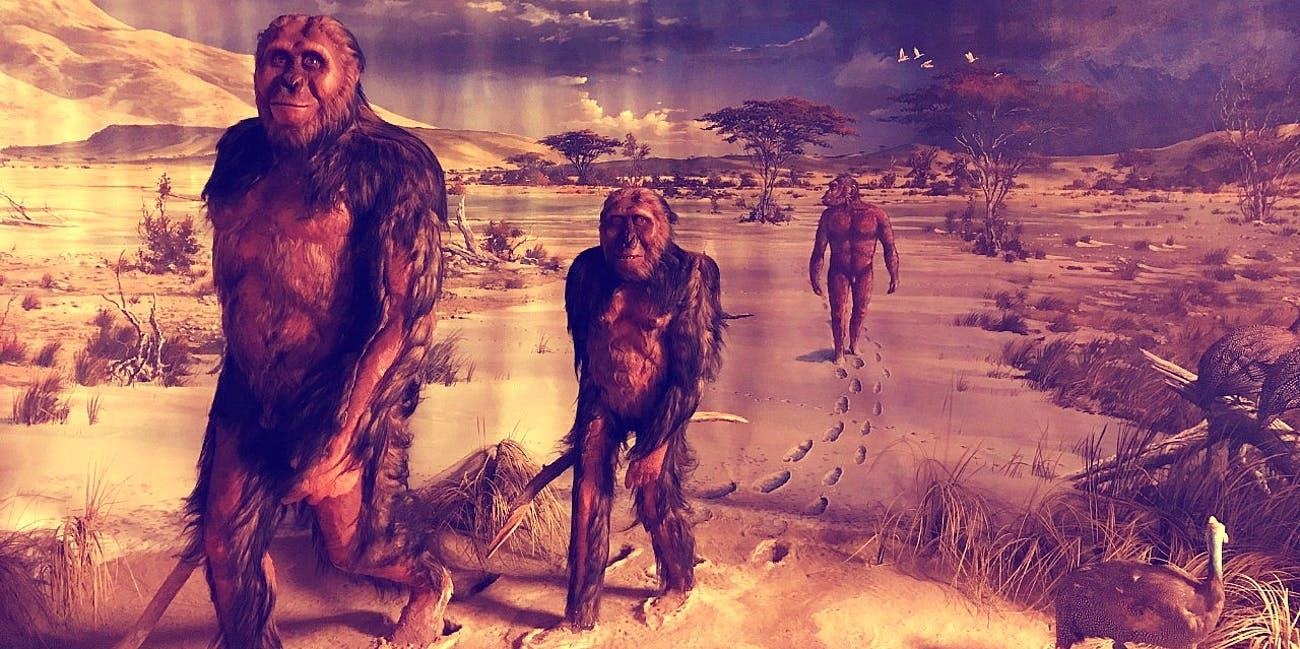 Bo xuong con nguoi hien dai anh 5