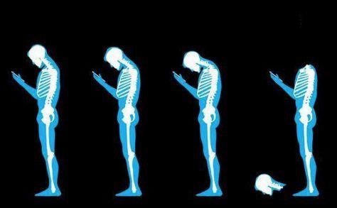 Bo xuong con nguoi hien dai anh 4