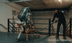 Video robot bi hanh ha gay xon xao Internet hinh anh