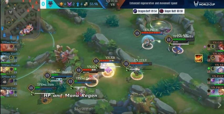 Viet Nam 1 thang de Dai Bac Wildcard anh 1