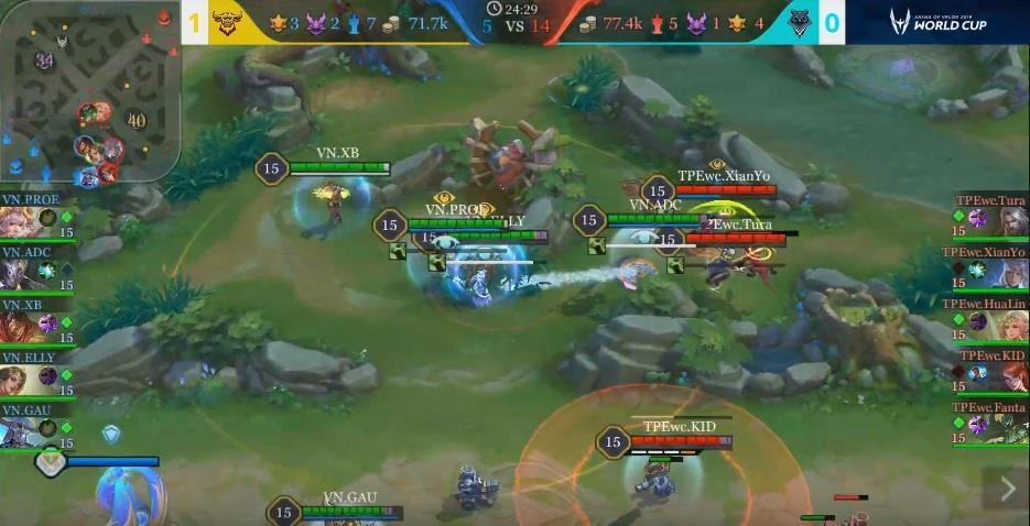 Viet Nam 1 thang de Dai Bac Wildcard anh 2