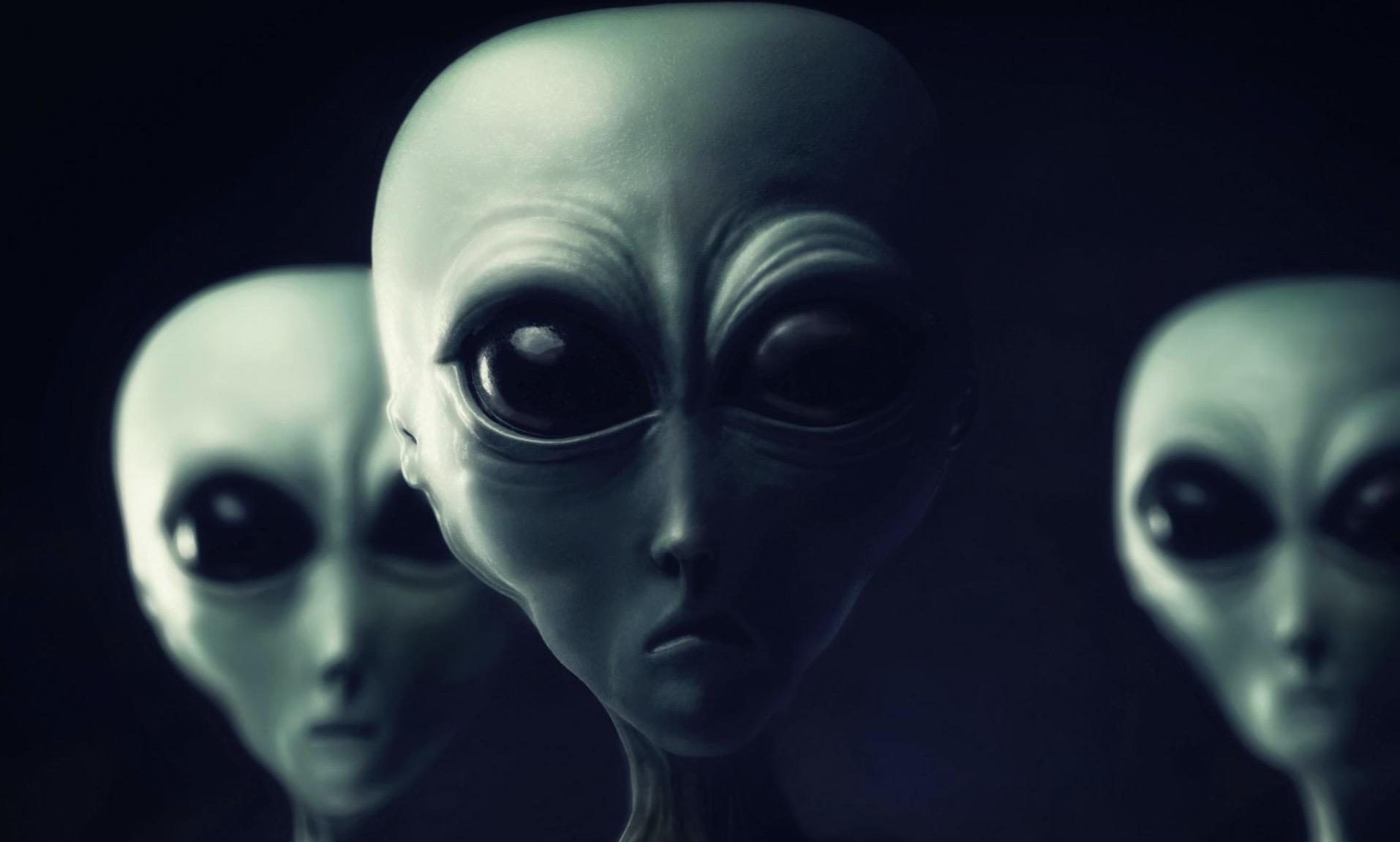 Co tim Alien, nhan loai co the bi xoa so hinh anh