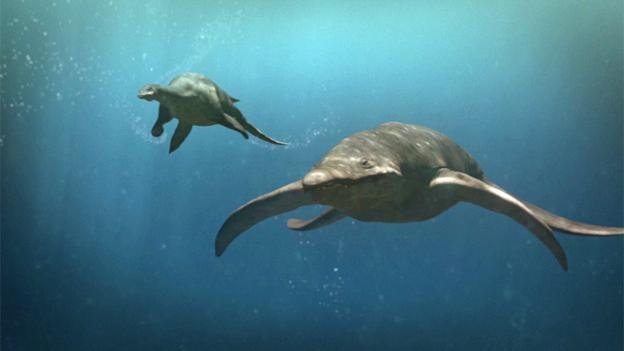 Predator X - hung than bien ca thoi tien su hinh anh