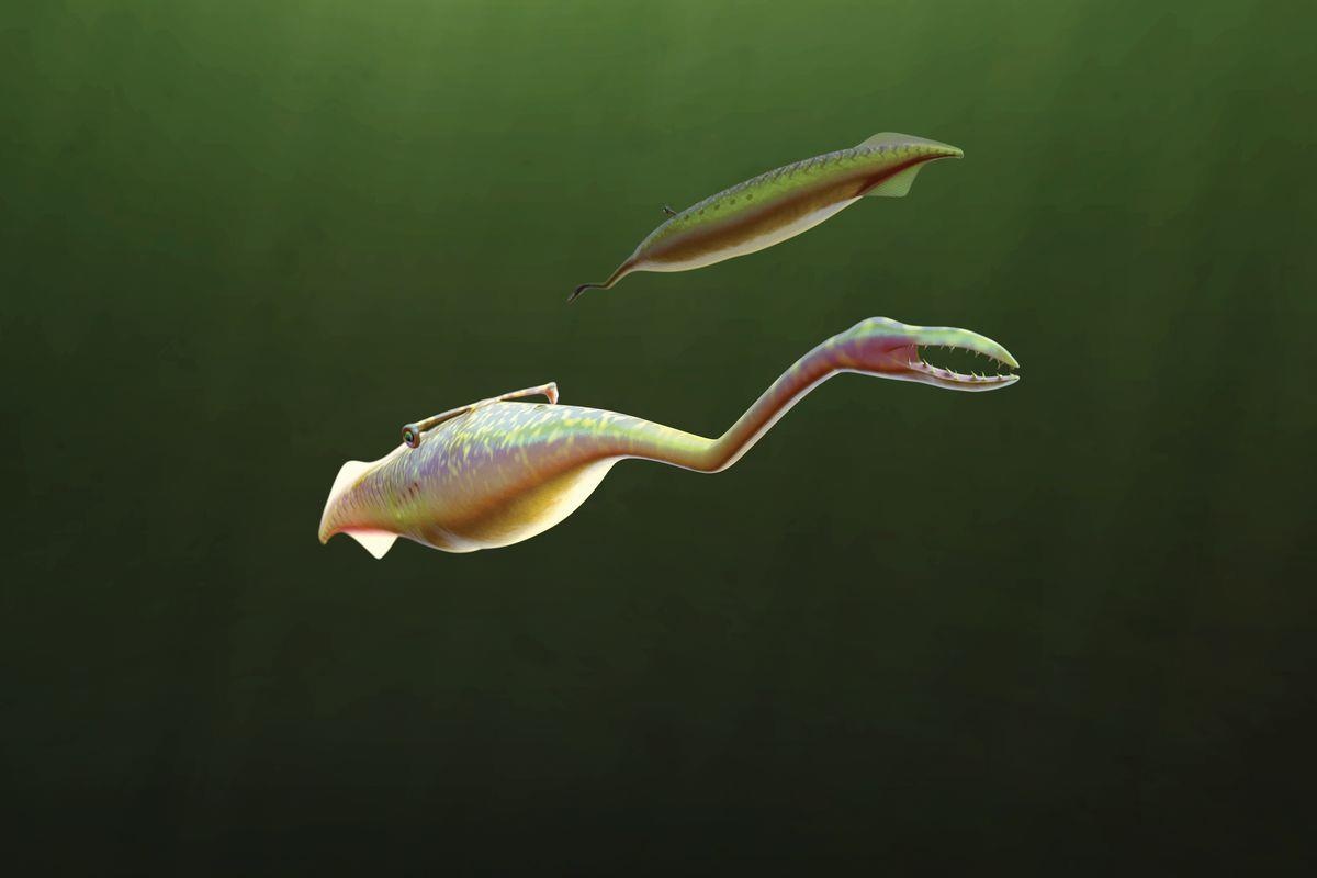 Quai vat Tully - sinh vat bi an bac nhat Trai Dat hinh anh