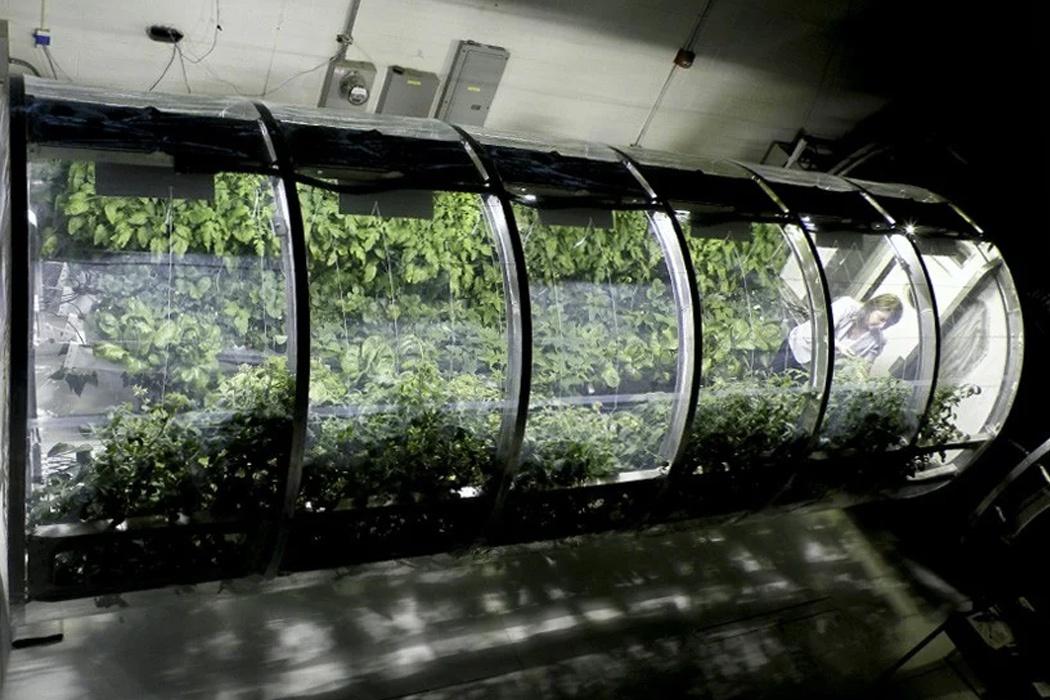 Nhung thiet ke nha o de con nguoi song ngoai vu tru anh 6