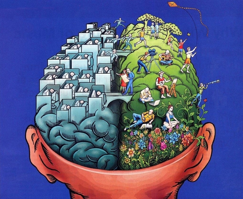 Internet khien chung ta dan ngu ngoc? anh 2