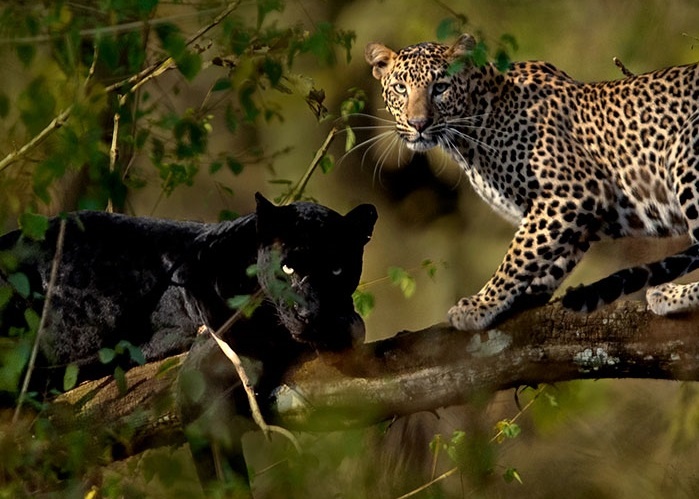 'Toi co the cho 6 nam de chup lay nhung khoanh khac the nay' anh 3