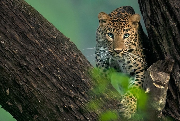 'Toi co the cho 6 nam de chup lay nhung khoanh khac the nay' anh 6