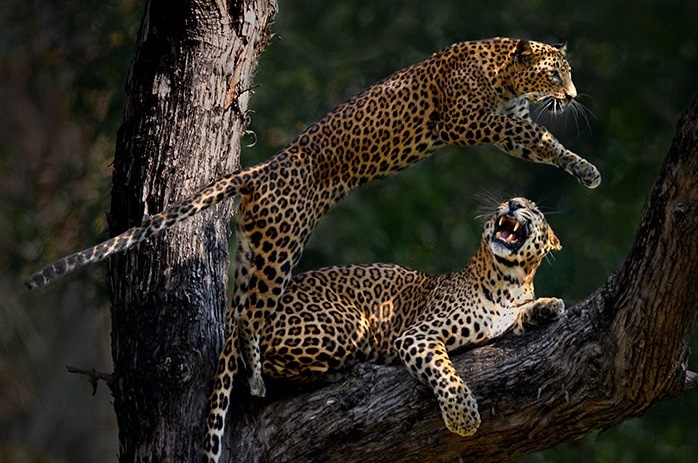 'Toi co the cho 6 nam de chup lay nhung khoanh khac the nay' anh 4