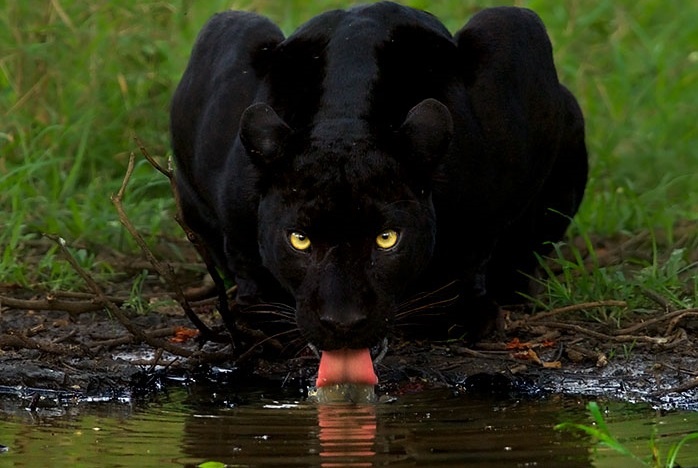 'Toi co the cho 6 nam de chup lay nhung khoanh khac the nay' anh 7