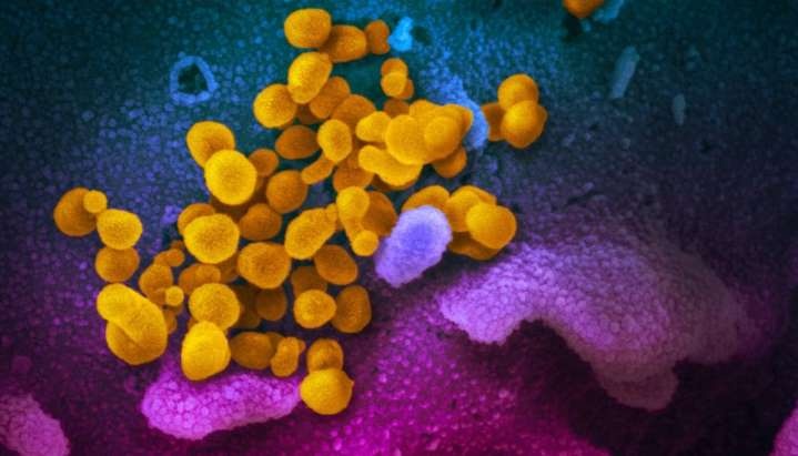 Virus nCoV co the bam tren do vat bao lau? hinh anh