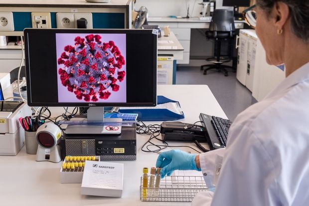 Gioi nghien cuu chay dua xet nghiem Covid-19 anh 2